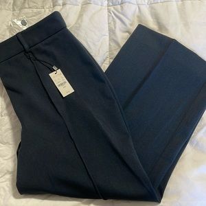 Express Navy Women's Pants